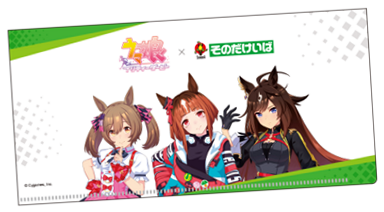 スマートファルコン、トランセンド、ドゥラメンテのポケット付きミニクリアファイル