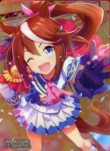 【中古】アクリルスタンド・アクリルパネル トウカイテイオー 「ウマ娘 プリティーダービー ノーブルアートコレクション vol.1」