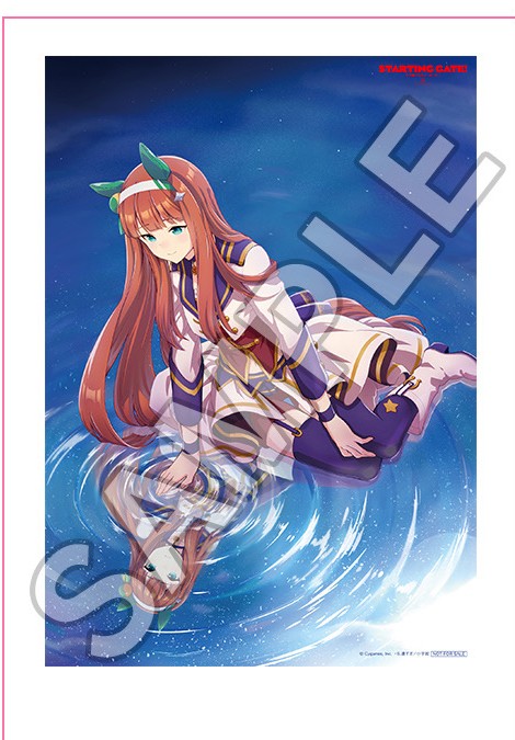 とらのあな全巻購入特典の特製A3布ポスター