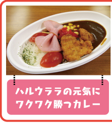 ハルウララの元気にワクワク勝つカレー