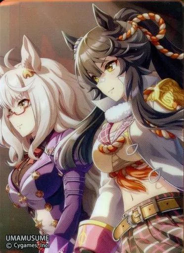 【中古】アクリルスタンド・アクリルパネル ナリタブライアン 「ウマ娘 プリティーダービー ノーブルアートコレクション vol.3」