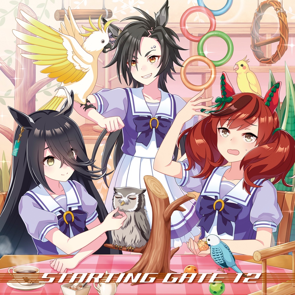 『ウマ娘 プリティーダービー』STARTING GATE 12 ジャケット
